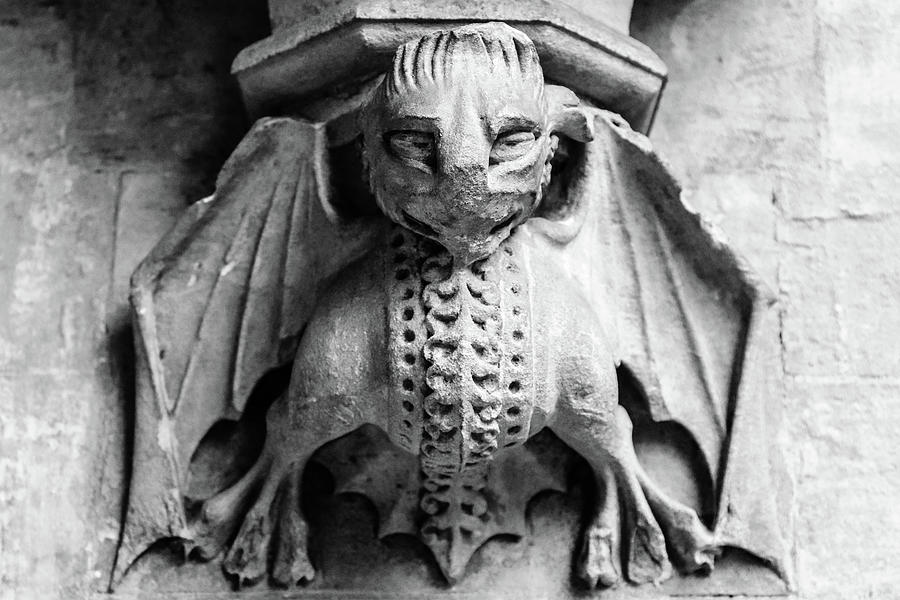 Dragon, Westminster Abbey Photograph