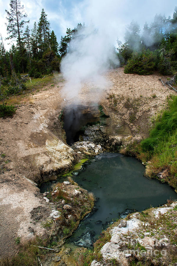 Dragons Mouth Spring, Mud Volcano Thermal Area, Yellowstone National ...