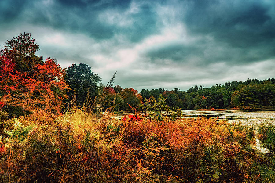 Dramatic autumn scene a Photograph by Lilia S
