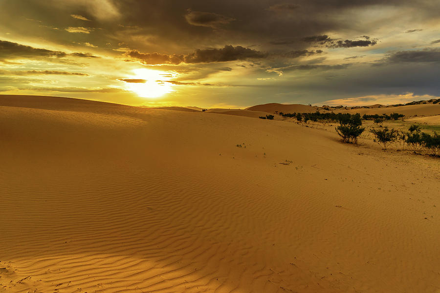 Dramatic Sunset In Desert #1 Photograph by Mikhail Kokhanchikov