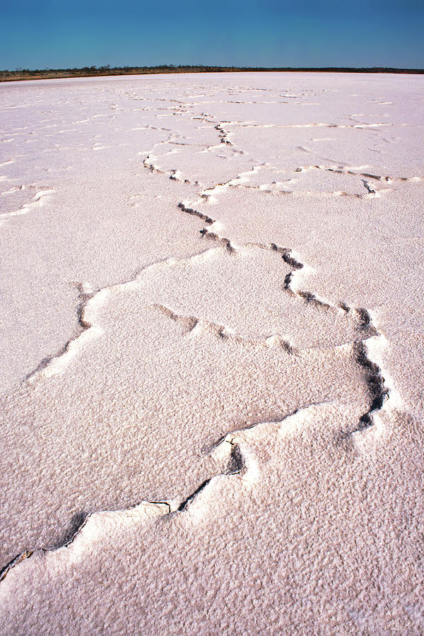 Dried Salt Patterns - Lake Hart #1 Photograph by Lexa Harpell