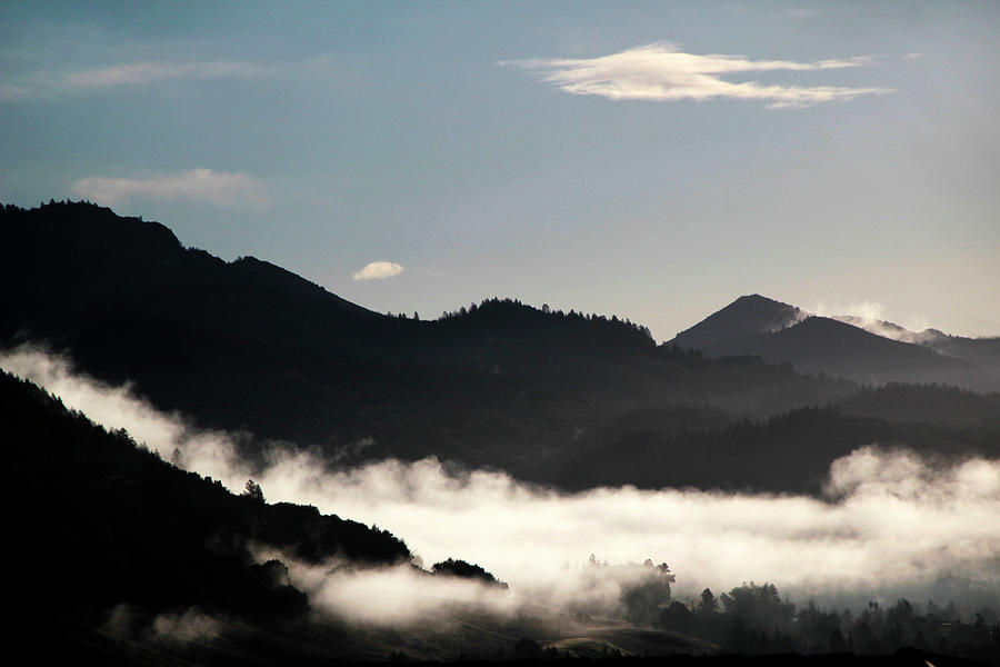 Drifting Mist Photograph by Pauline Darrow - Fine Art America