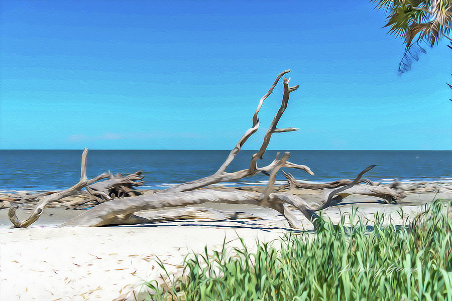 Driftwood Beach Jekyll Island Digital Art by Anthony George Visuals