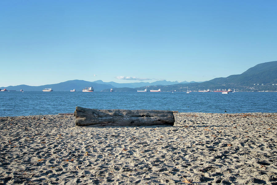 Driftwood on the Beach #1 Digital Art by Carol Ailles