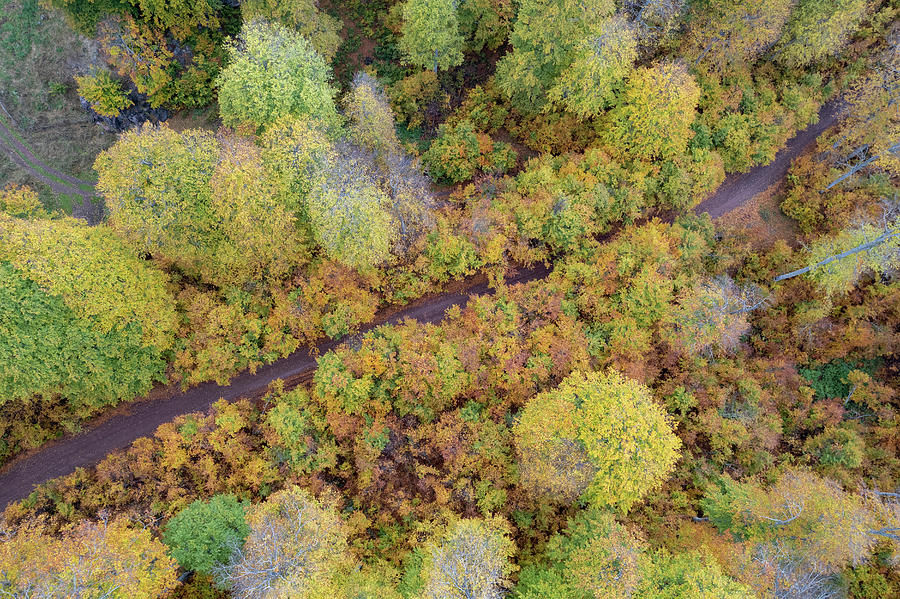 Drone aerial of autumn forest road. Fall season scenery #1 Photograph by Michalakis Ppalis