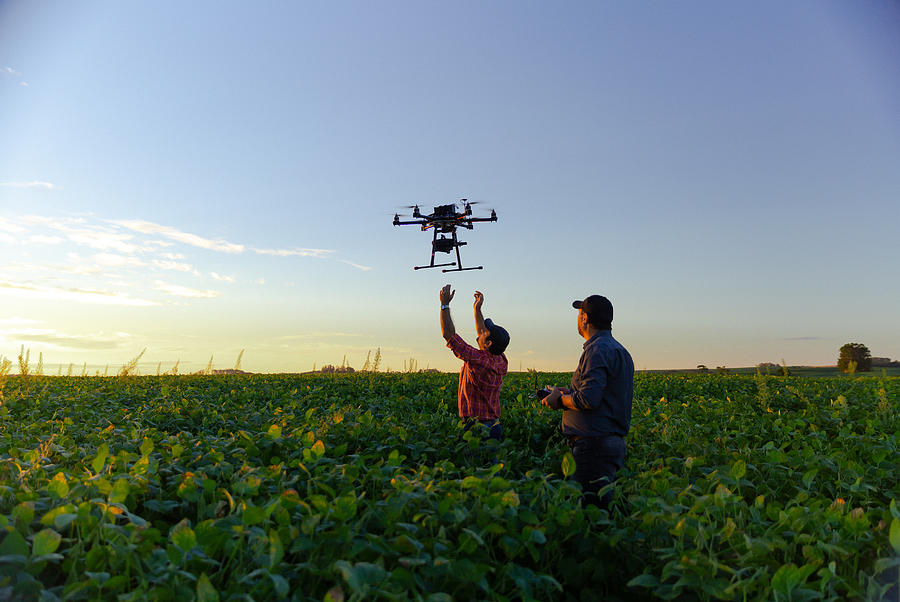 Drone in soybean crop. #1 Photograph by Evandrorigon
