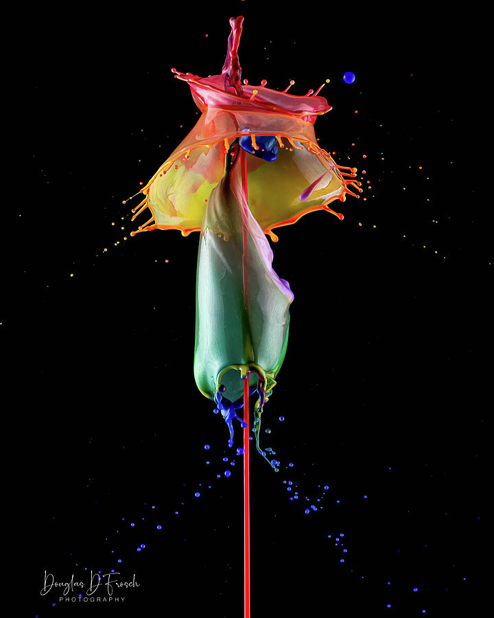 Drop Art Photograph by Douglas Frosch - Fine Art America