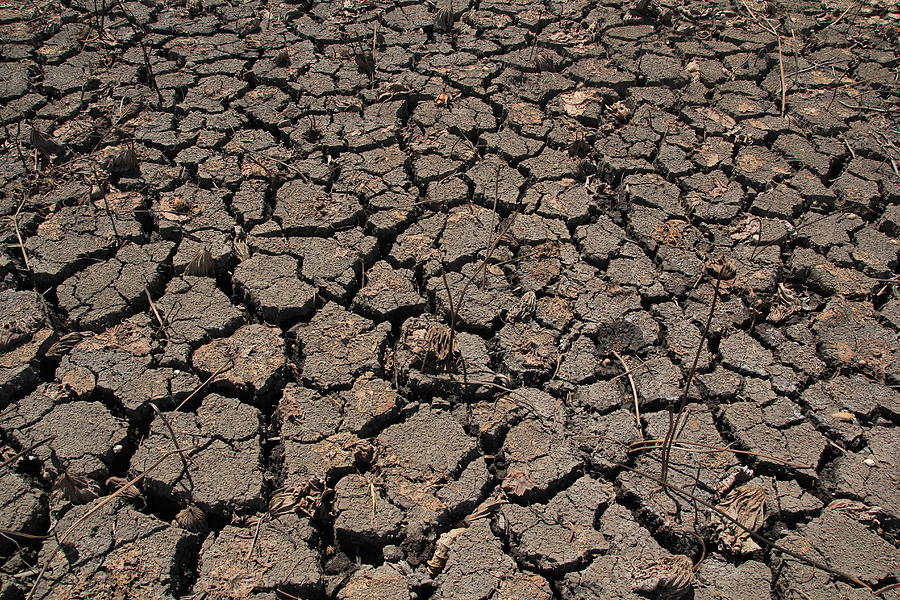 Dry Ground Texture, Drought, the ground cracks, no hot water #1 Photograph by Peeravit18
