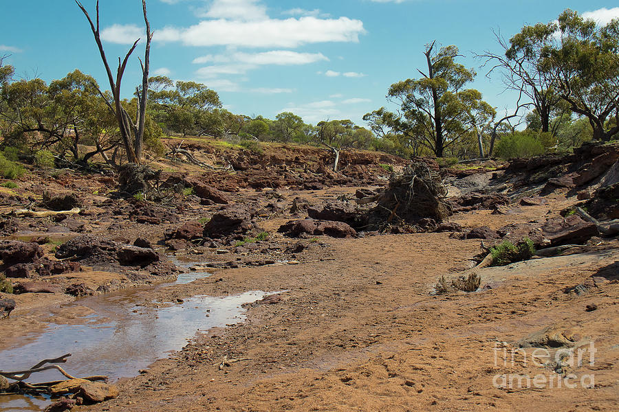 Dry River Bed, Coalseam Conservation Park, Nangetty, Western Australia #2 Photograph by Elaine Teague