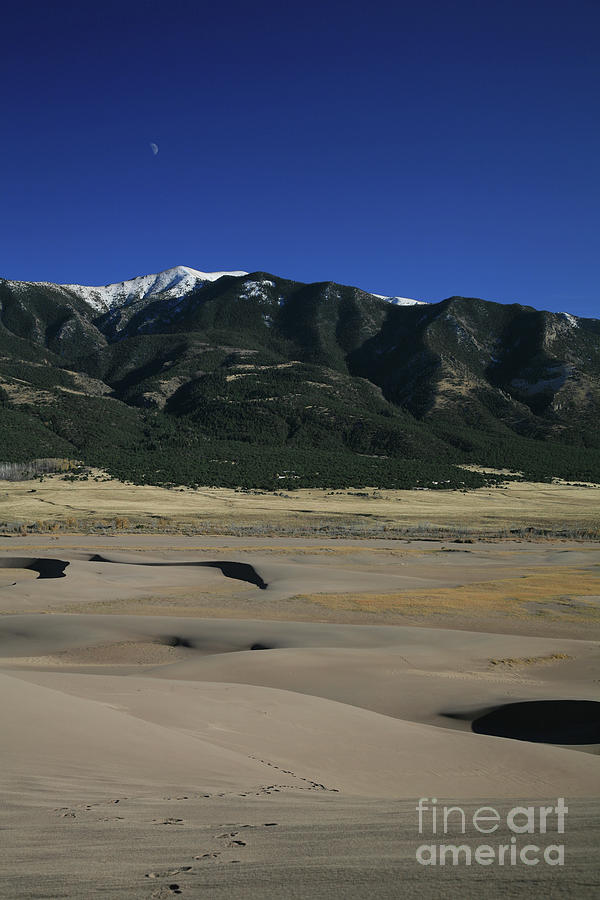 Dunes and Mountains #1 Photograph by Timothy Johnson