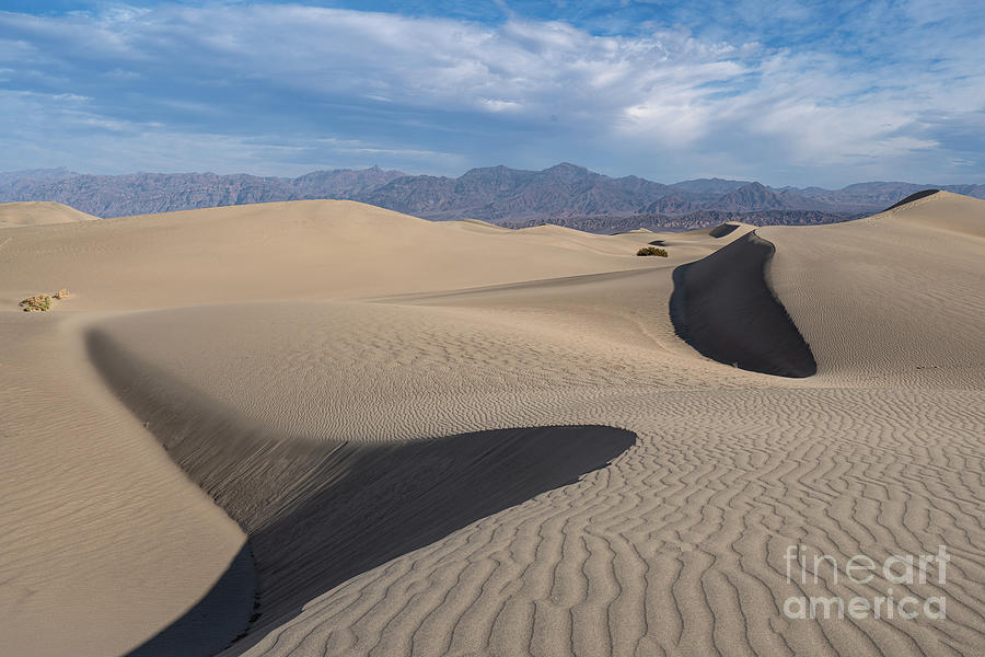 Dunes #1 Photograph by Brian Kamprath