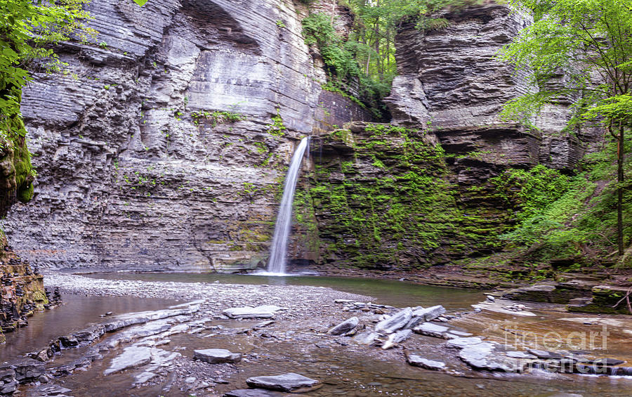 Eagle Cliff Falls Panorama #1 Photograph by William Norton