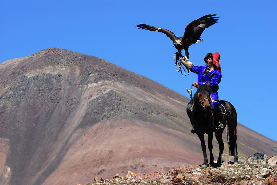 Eagle Hunter #1 Photograph by Elbegzaya Lkhagvasuren