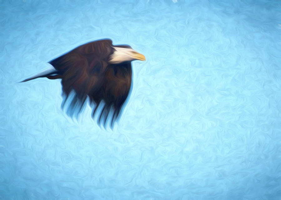 Eagle in flight #1 Photograph by Jim Pearson