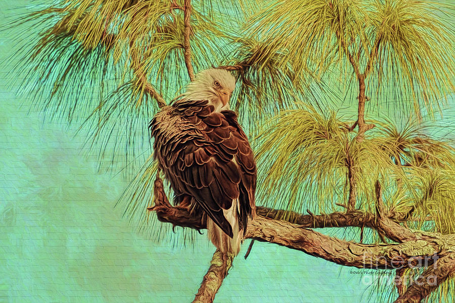 Eagle in the Pine #1 Mixed Media by Deborah Benoit