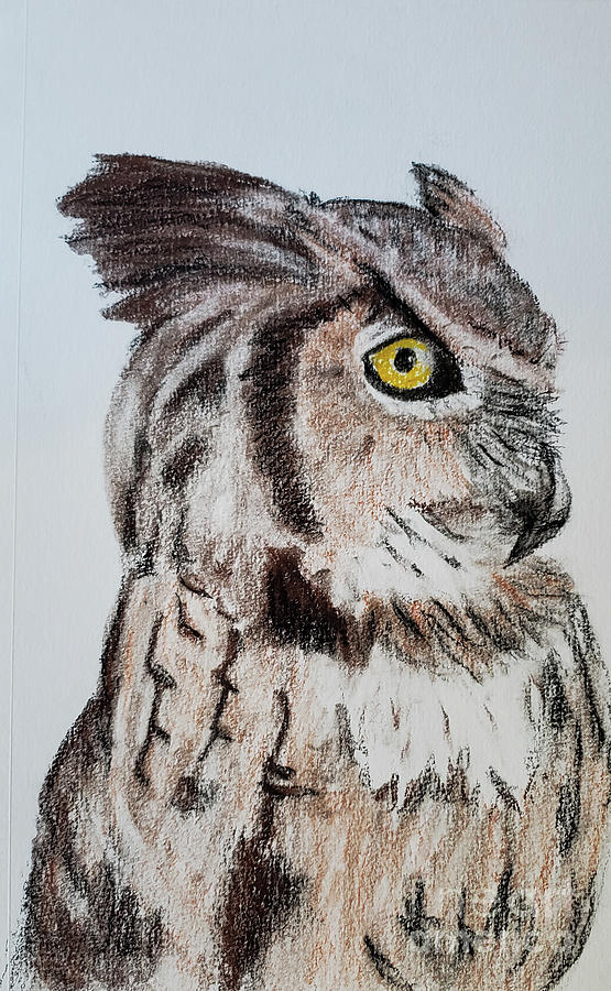 Eagle Owl #1 Drawing by Mary Capriole