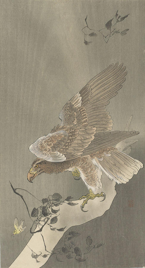 Eagle with spread wings and prey Painting by Ohara Koson - Fine Art America