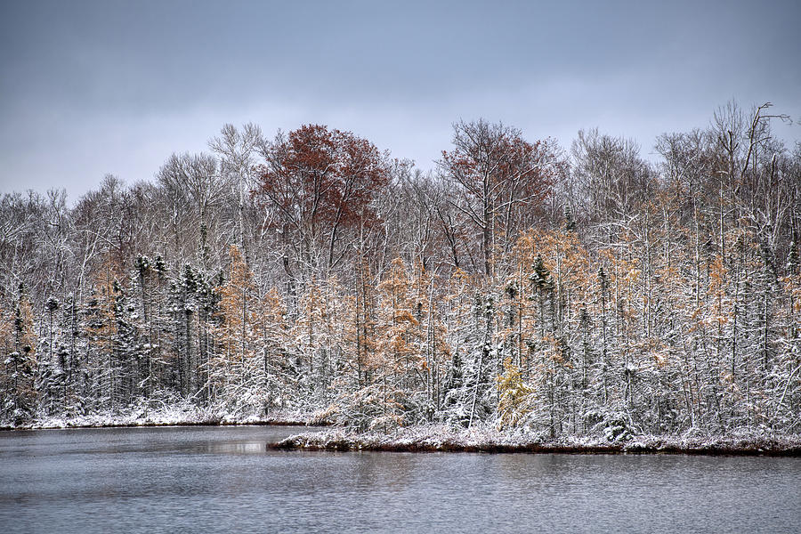 Winter Photograph - Early Snow #1 by Paul Freidlund