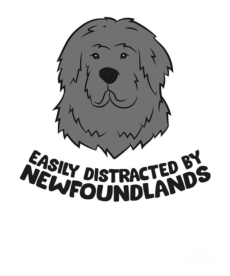 are newfoundlands from newfoundland