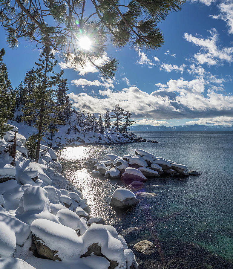 East Shore Snow #1 Photograph by Martin Gollery