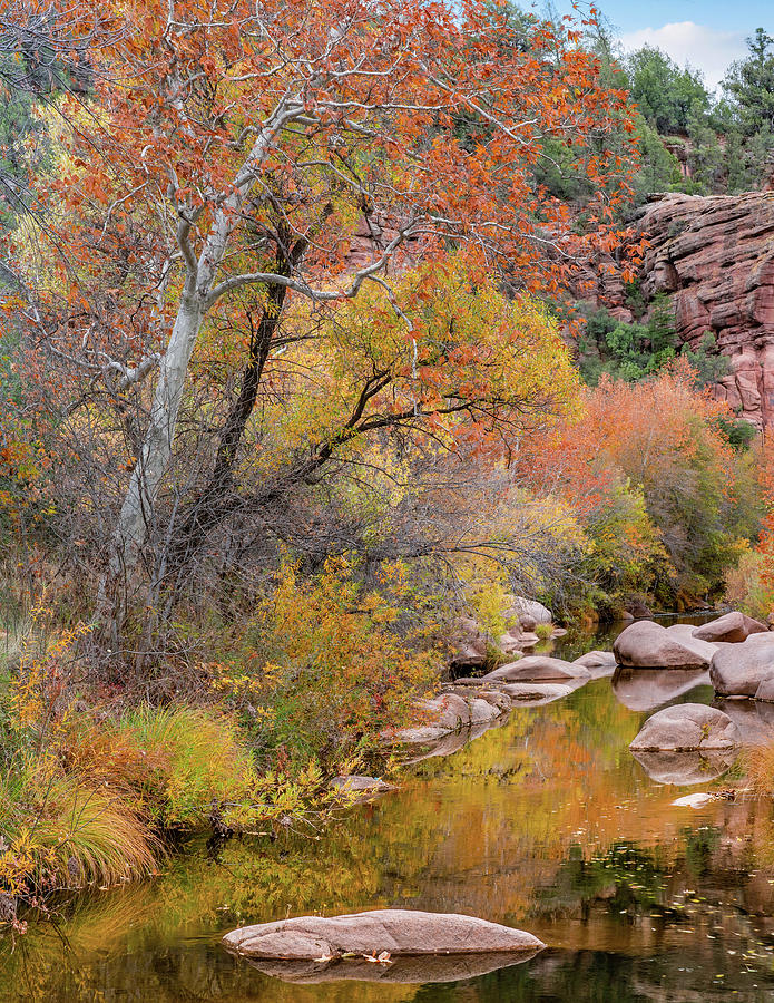 Nature Photograph - East Verde River, Arizona, USA #1 by Tim Fitzharris