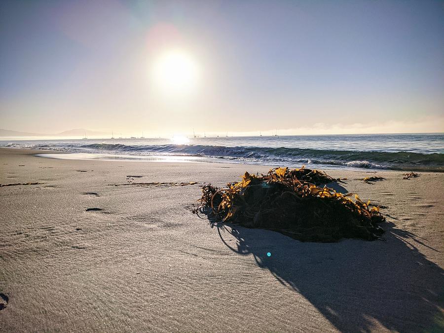 Eastbeach43 #1 Photograph by Pat Breuker Eastbeach43 #1 Photograph by Pat Breuker