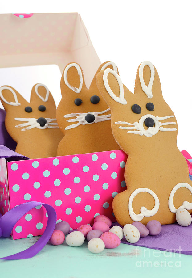 Easter bunny gingerbread cookies #1 Photograph by Milleflore Images