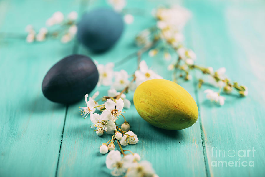 Easter eggs and spring blossom Photograph by Jelena Jovanovic