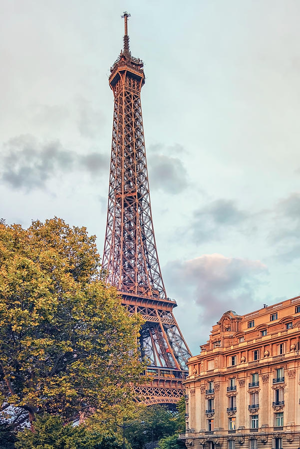 Eiffel Tower In Paris Photograph