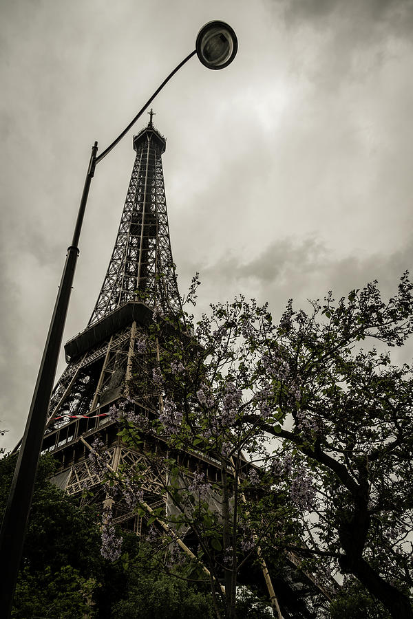 Eiffel Towering #1 Photograph by James L Bartlett
