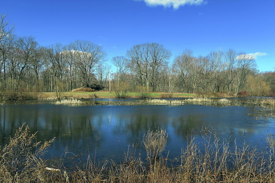 Eisenhower Park, Milford CT Photograph by Thomas Henthorn Pixels