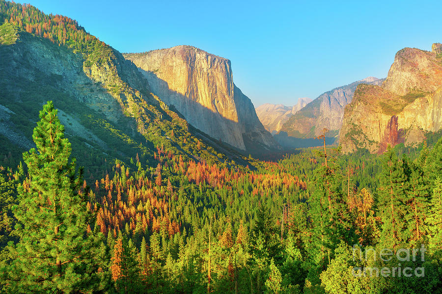 El Capitan Yosemite #1 Photograph by Benny Marty