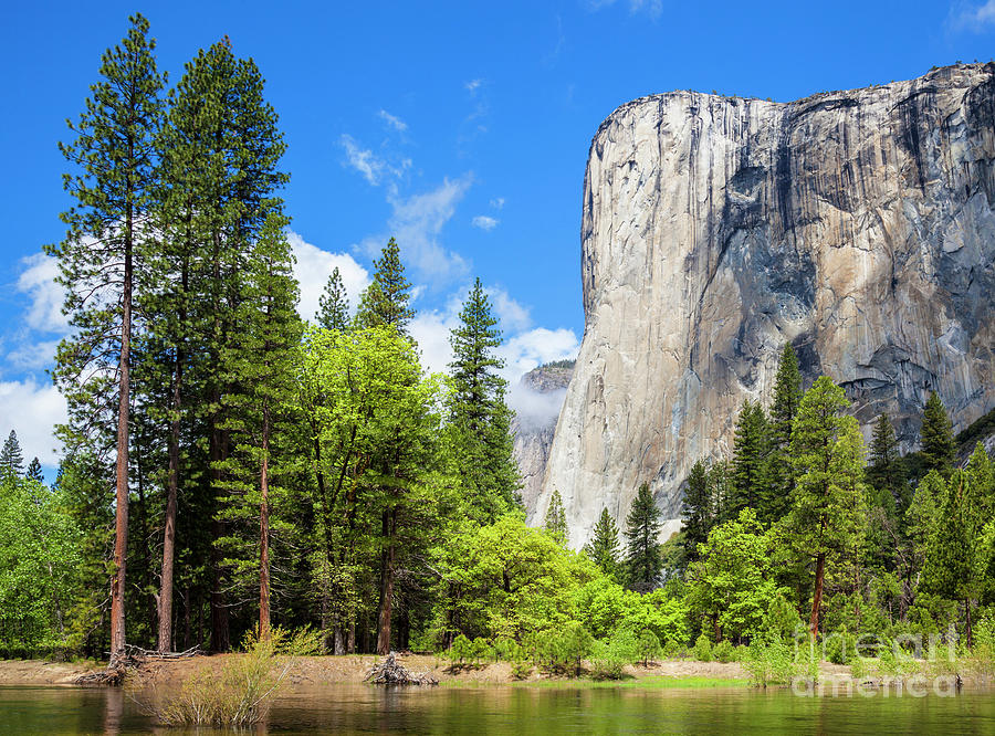 El Capitan, Yosemite National Park, California, USA Photograph by Neale And Judith Clark