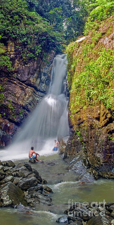 El Yunque Rain Forest Waterfall #1 Photograph by David Zanzinger