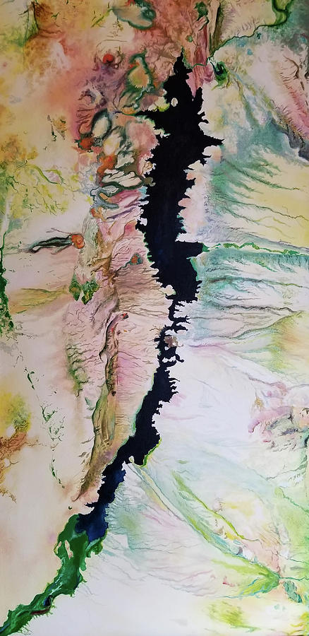 Elephant Butte Reservoir 1991 Painting by Rowan Lyford