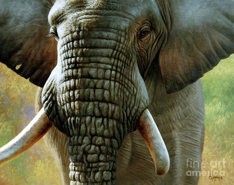Elephant #1 Painting by Cynthie Fisher