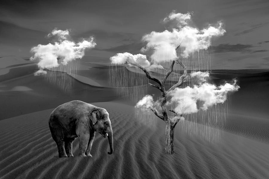 Elephant Dream #1 Mixed Media by Marvin Blaine