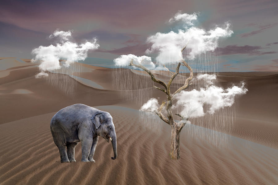 Elephant Fantasy #1 Mixed Media by Marvin Blaine