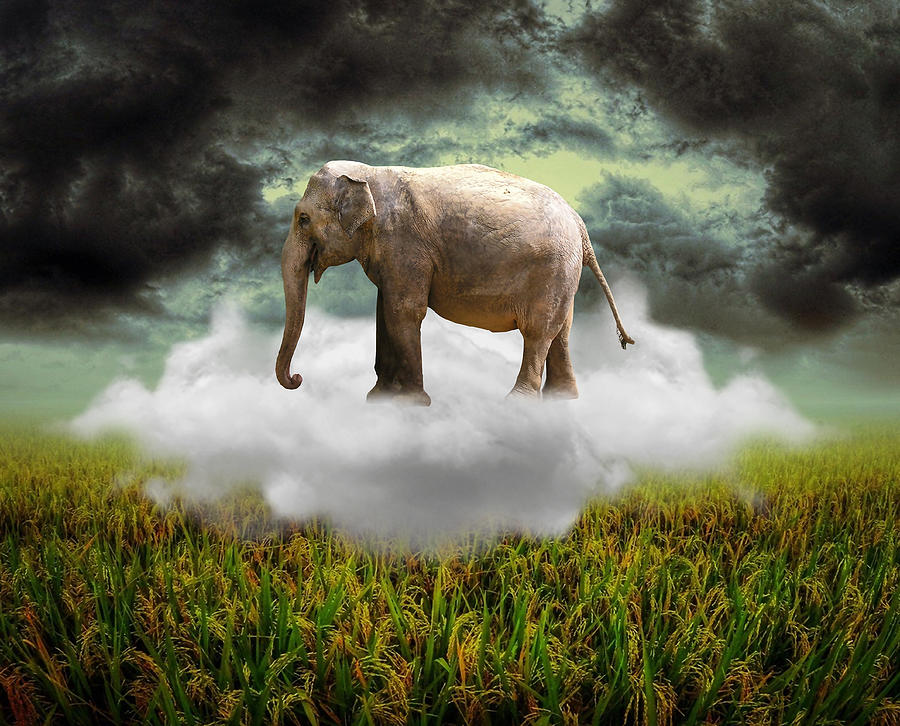 Elephant In The Clouds #1 Mixed Media by Marvin Blaine