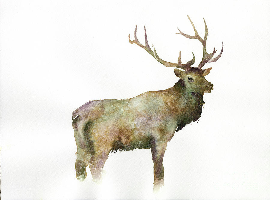 Deer Painting - Elk 1 #1 by Ryan Fox