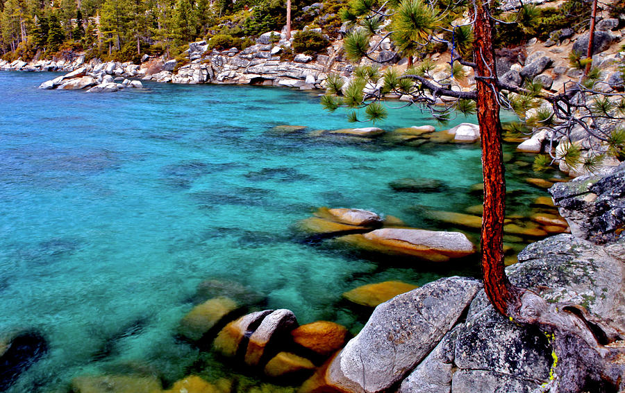 Lake Tahoe Azure Blue #1 Photograph by Geoff McGilvray