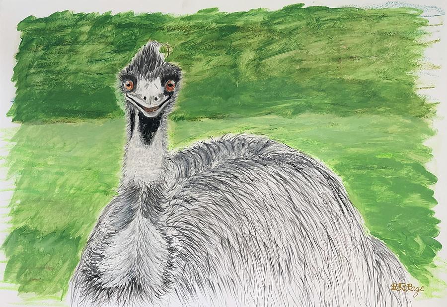 Emu #1 Pastel by Richard Le Page