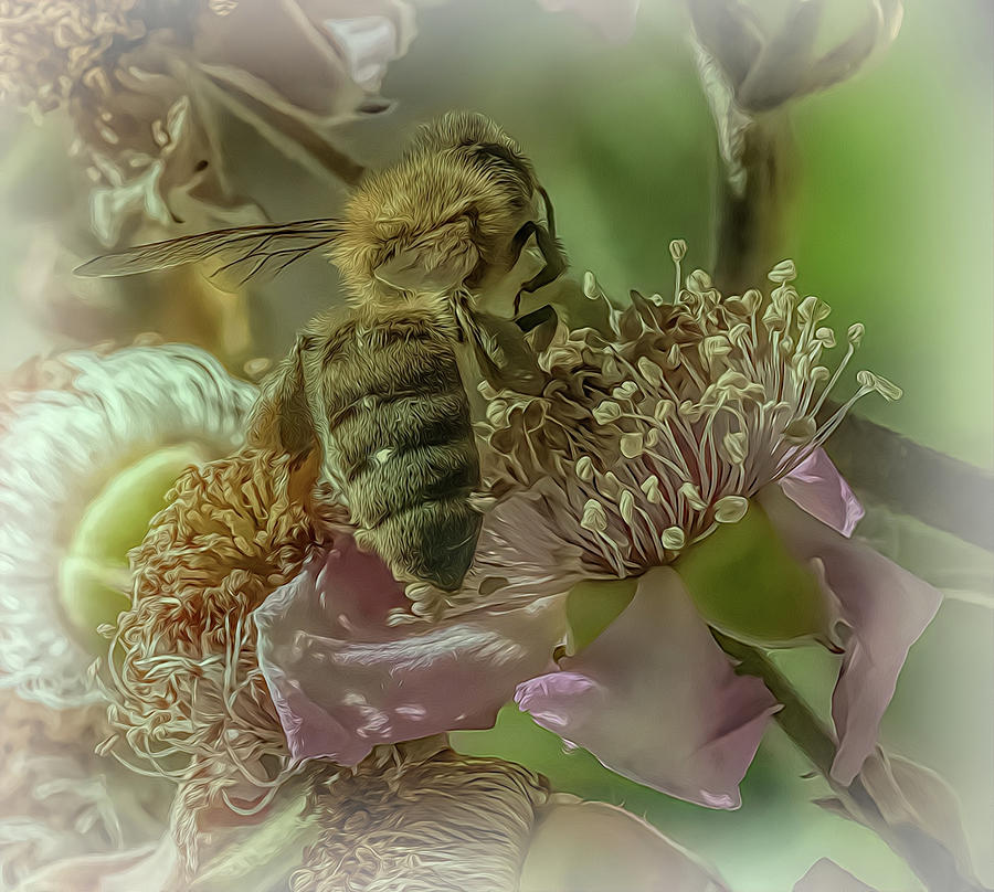 Enchanted Bee 1245 #1 Photograph by Samuel Sheats