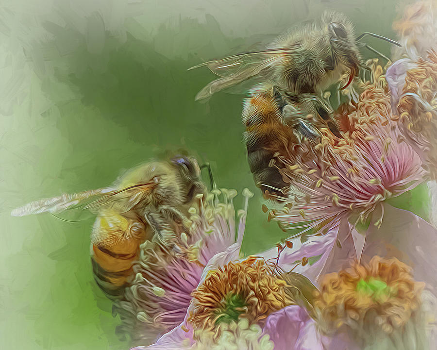 Enchanted Bee 5470 Photograph by Samuel Sheats