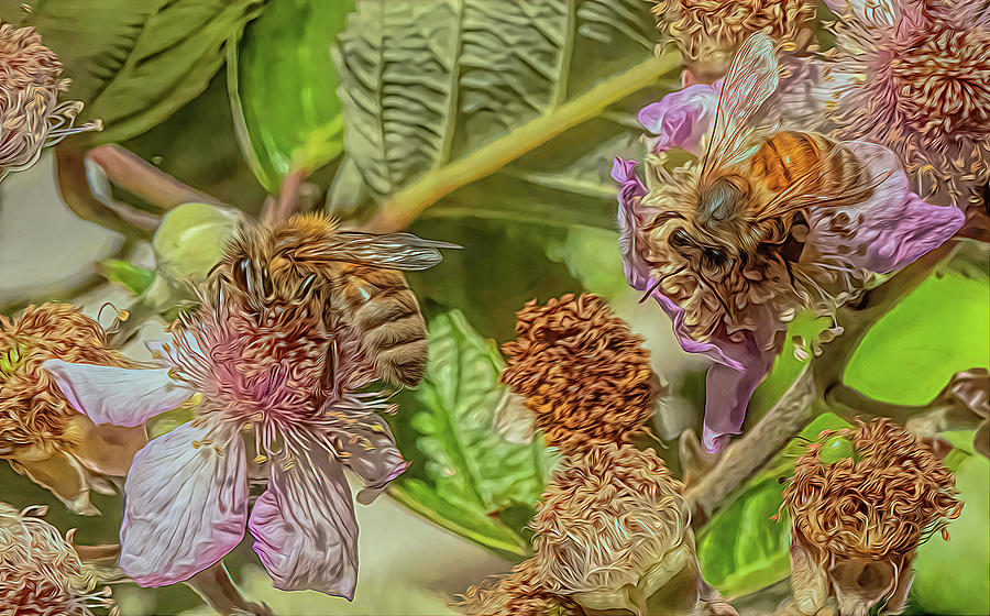 Enchanted Bee 9712 Photograph by Samuel Sheats