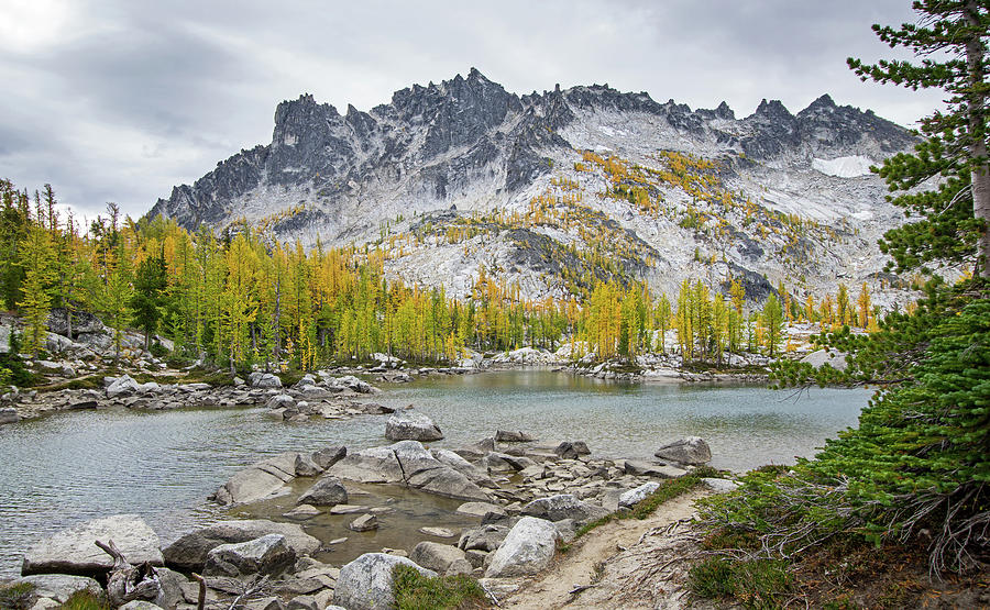 Enchantments #1 Photograph by Angie Schutt