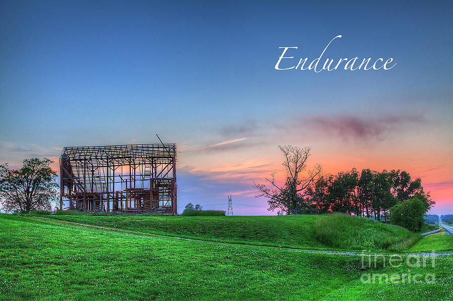 Endurance  #1 Photograph by Larry Braun