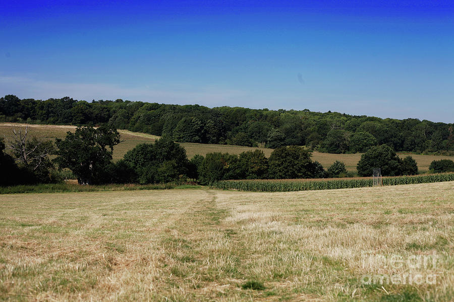 English farmland scene Photograph by Tom Gowanlock - Fine Art America