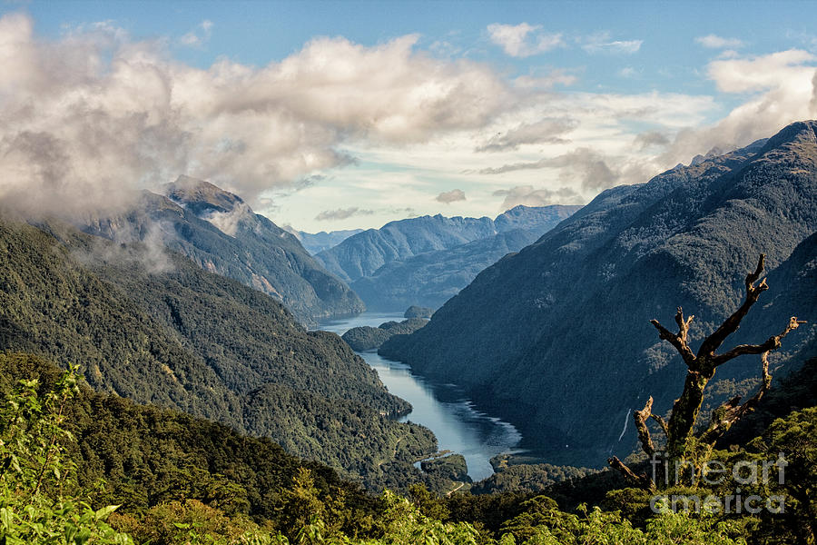 Entrance of Doubtful Sound Photograph by Patricia Hofmeester