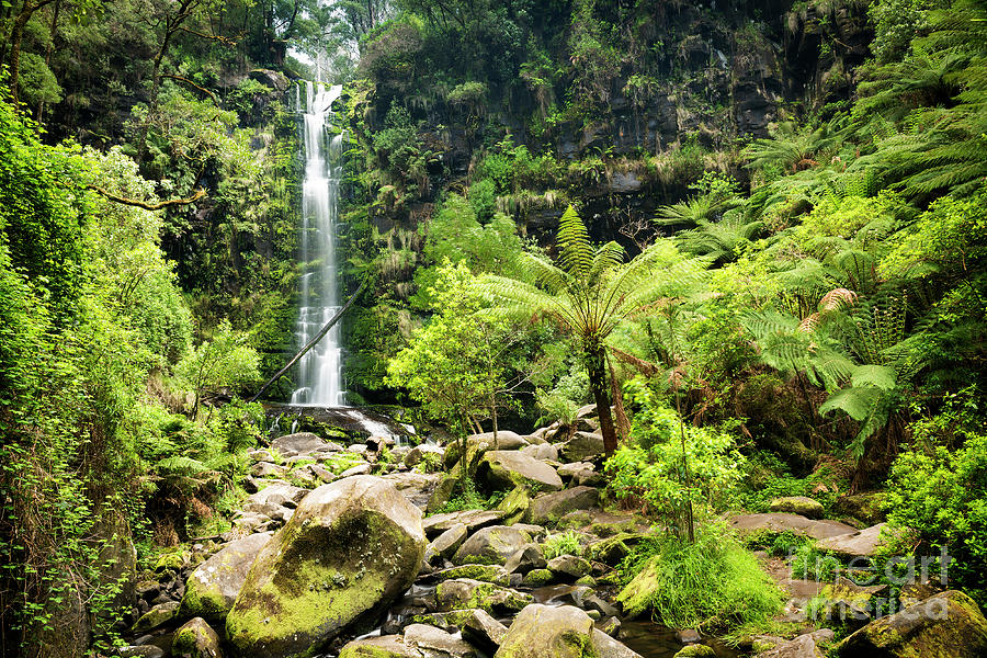 Erskine Falls Waterfall #1 Photograph by THP Creative
